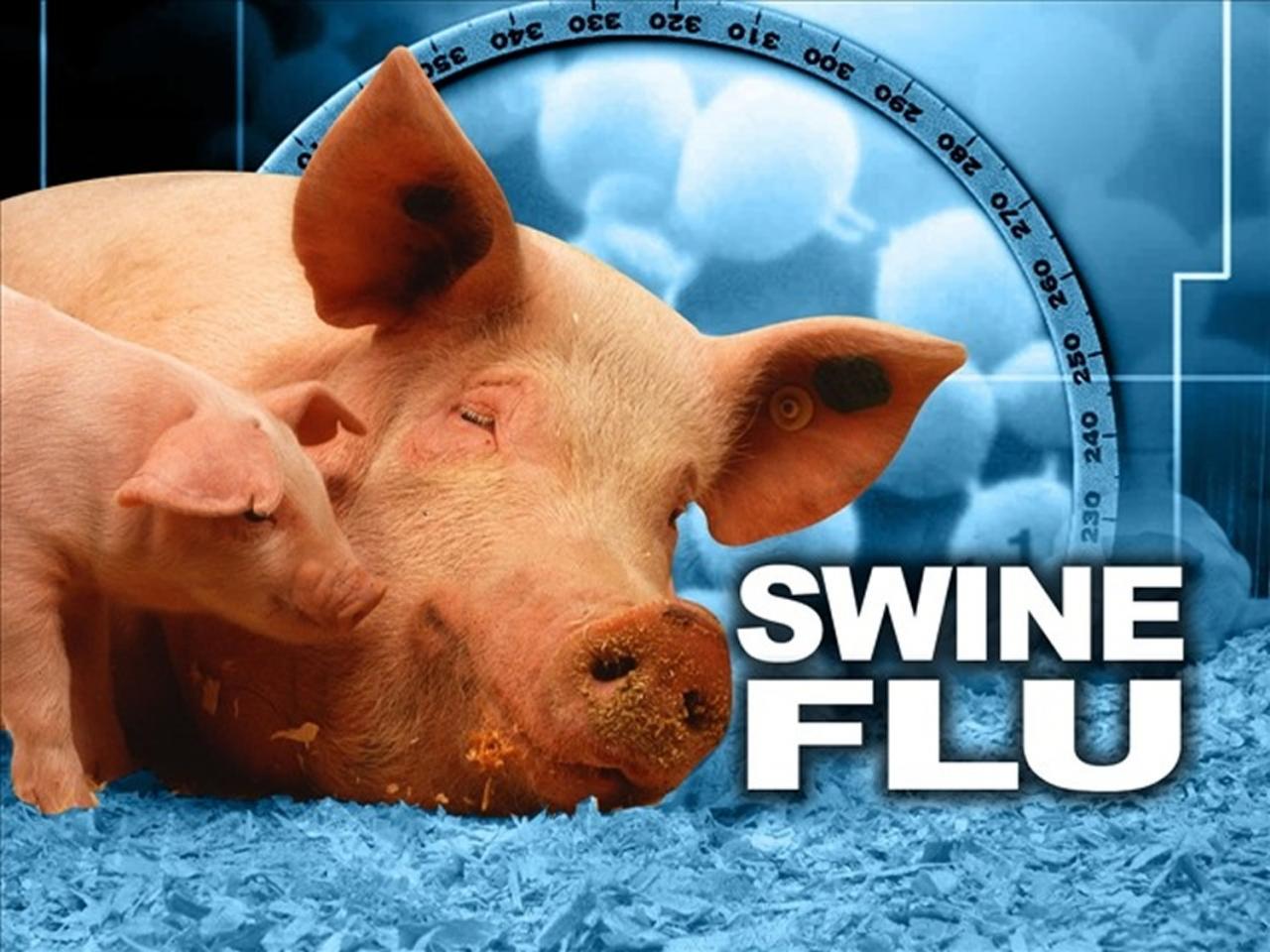 Swine flu